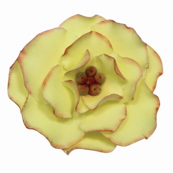 Cutter Set - Briar Rose / Round